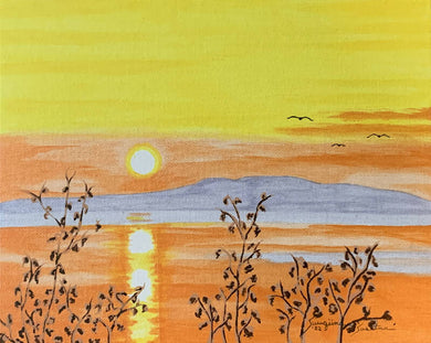 Susitna Sunset