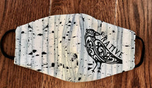 Load image into Gallery viewer, Raven Design Cotton face mask