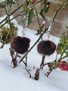 Sea Otter Dentalium Shell Earrings