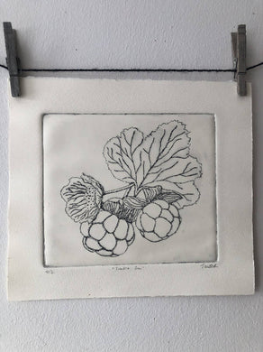 Tundra Sun Print