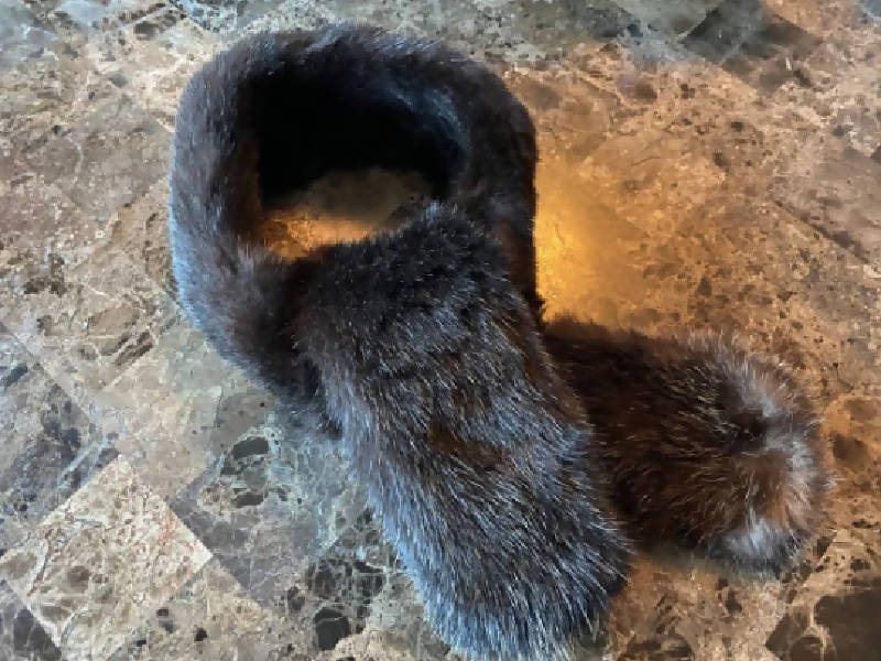 Sea Otter Neck Scarf (36