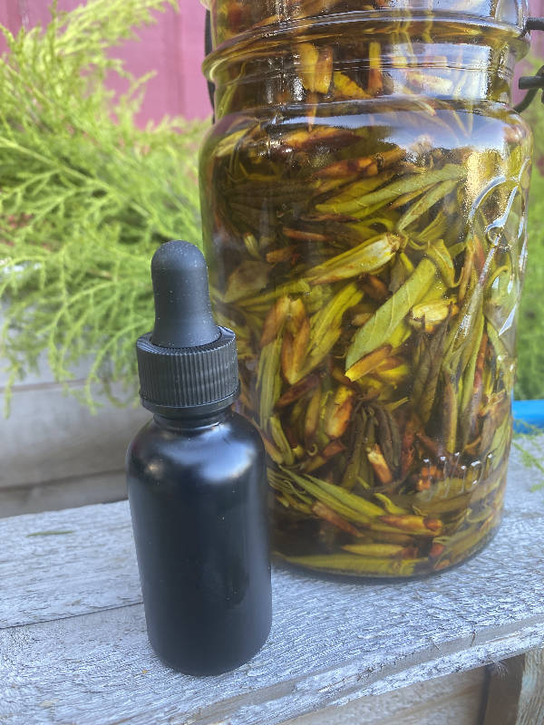 COTTON WOOD OIL INFUSION