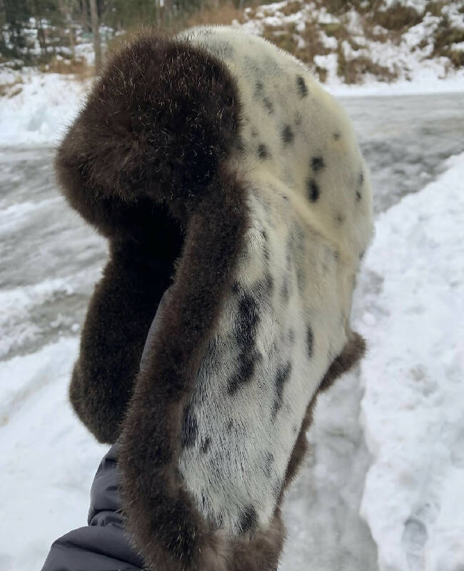 Seal/Sea Otter Bomber hat