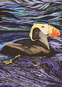 Puffin