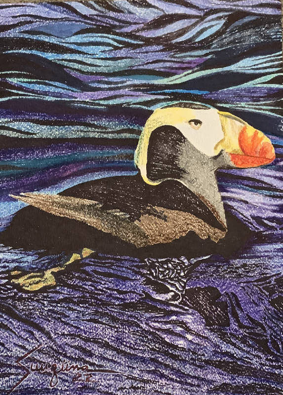 Puffin